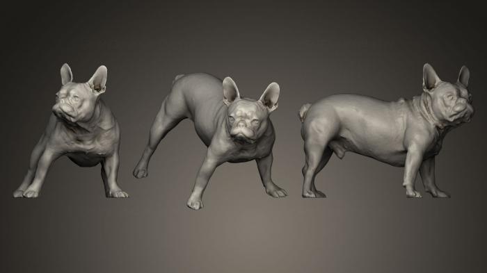 Animal figurines (STKJ_0238) 3D model for CNC machine